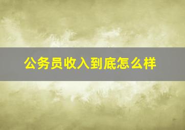 公务员收入到底怎么样