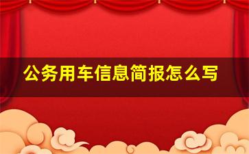 公务用车信息简报怎么写