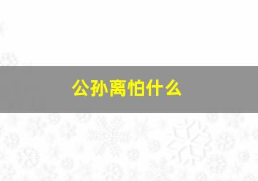 公孙离怕什么