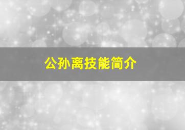 公孙离技能简介