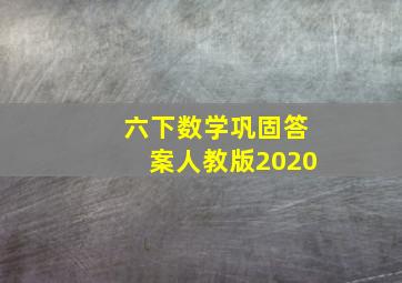 六下数学巩固答案人教版2020