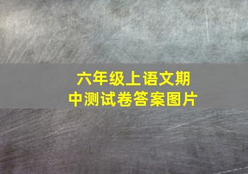 六年级上语文期中测试卷答案图片