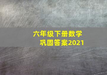 六年级下册数学巩固答案2021