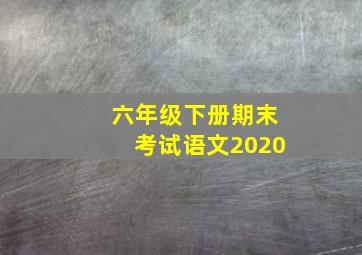 六年级下册期末考试语文2020