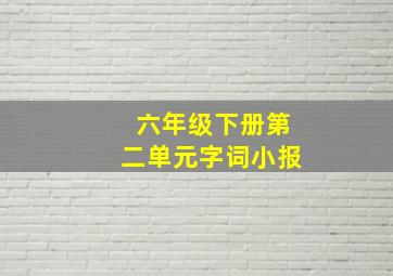 六年级下册第二单元字词小报