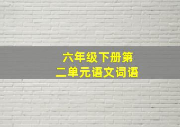 六年级下册第二单元语文词语