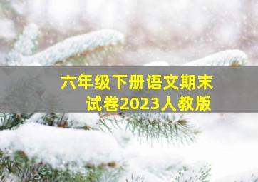 六年级下册语文期末试卷2023人教版