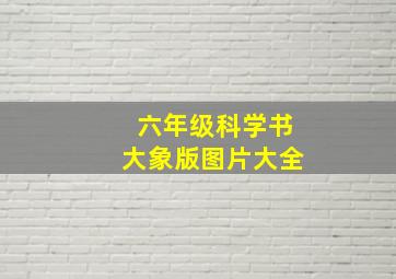 六年级科学书大象版图片大全