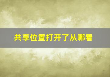 共享位置打开了从哪看