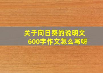 关于向日葵的说明文600字作文怎么写呀