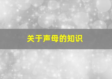 关于声母的知识