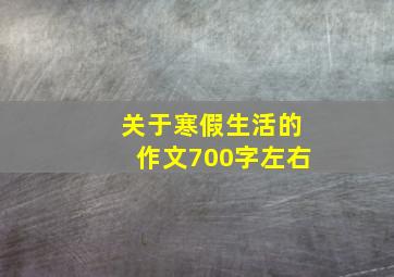 关于寒假生活的作文700字左右