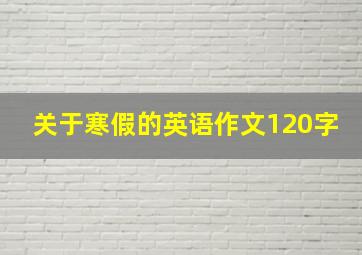 关于寒假的英语作文120字