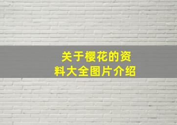 关于樱花的资料大全图片介绍