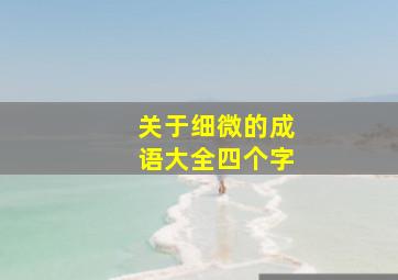 关于细微的成语大全四个字