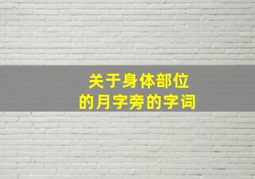 关于身体部位的月字旁的字词