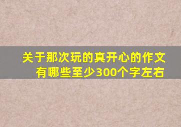 关于那次玩的真开心的作文有哪些至少300个字左右