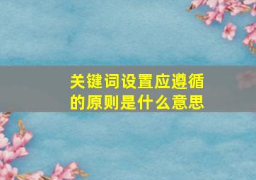 关键词设置应遵循的原则是什么意思