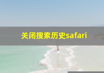 关闭搜索历史safari