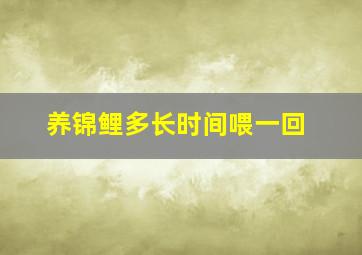 养锦鲤多长时间喂一回