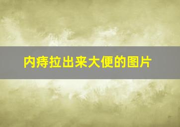 内痔拉出来大便的图片