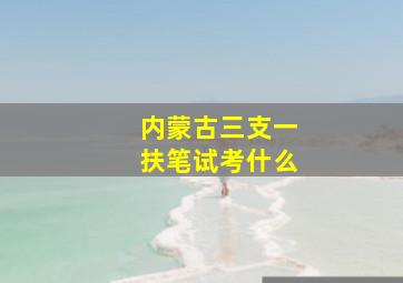 内蒙古三支一扶笔试考什么