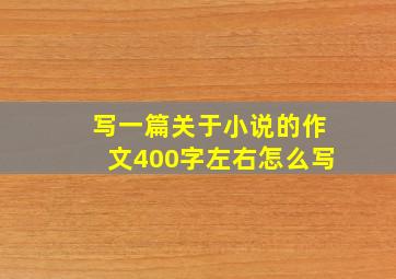 写一篇关于小说的作文400字左右怎么写