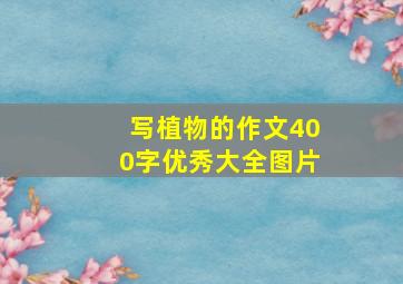 写植物的作文400字优秀大全图片