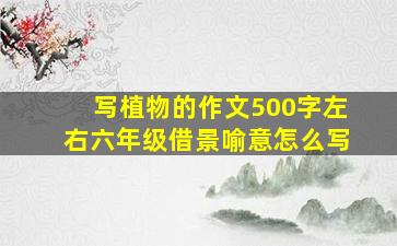 写植物的作文500字左右六年级借景喻意怎么写