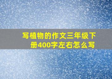 写植物的作文三年级下册400字左右怎么写