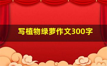 写植物绿萝作文300字