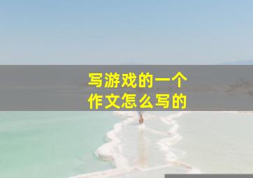 写游戏的一个作文怎么写的