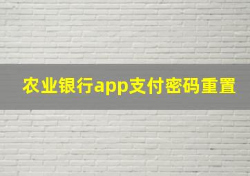 农业银行app支付密码重置