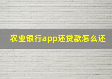 农业银行app还贷款怎么还