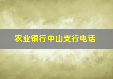 农业银行中山支行电话