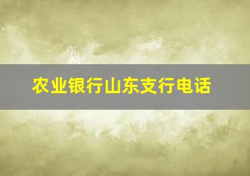 农业银行山东支行电话