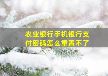 农业银行手机银行支付密码怎么重置不了