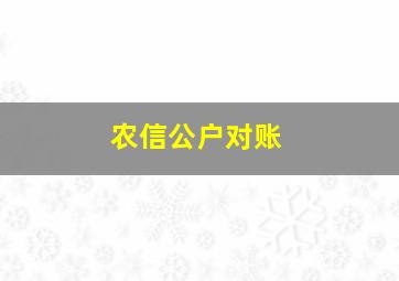 农信公户对账