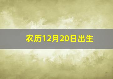 农历12月20日出生