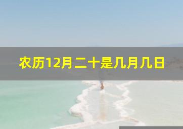 农历12月二十是几月几日