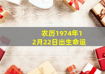 农历1974年12月22日出生命运