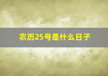 农历25号是什么日子