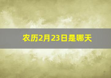 农历2月23日是哪天