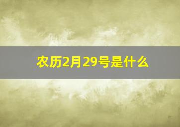 农历2月29号是什么