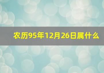 农历95年12月26日属什么