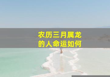 农历三月属龙的人命运如何