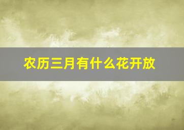 农历三月有什么花开放