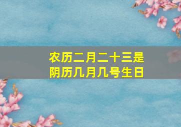 农历二月二十三是阴历几月几号生日