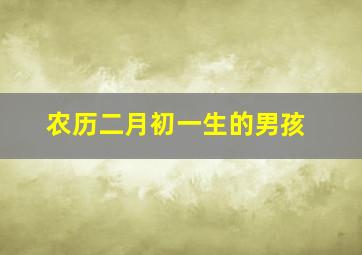 农历二月初一生的男孩