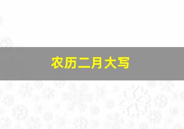 农历二月大写